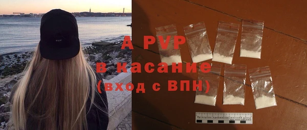 стаф Белокуриха