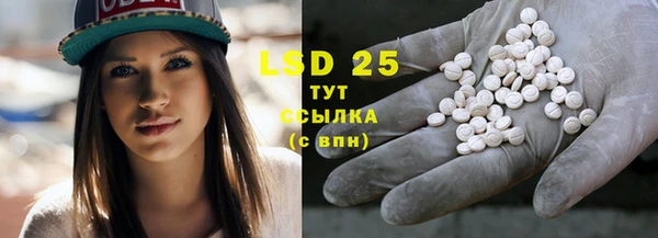 стаф Белокуриха