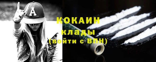 стаф Белокуриха