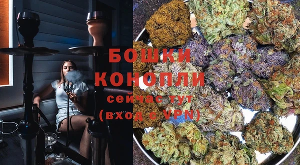 стаф Белокуриха