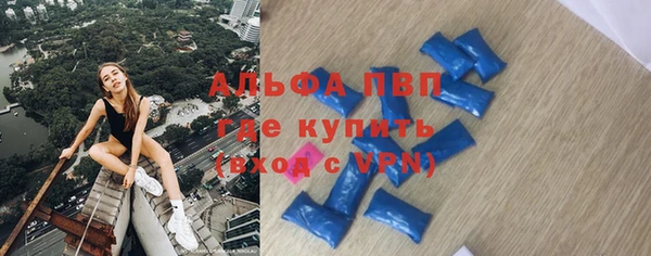 стаф Белокуриха