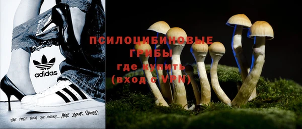 дмт Беломорск