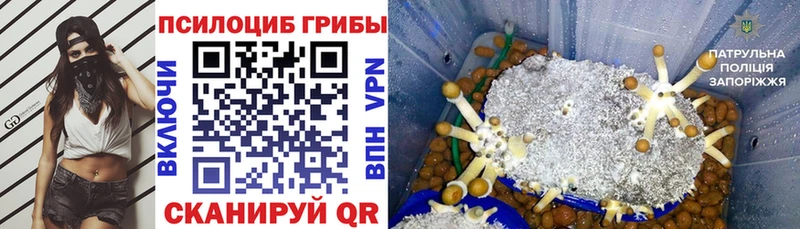 Галлюциногенные грибы Cubensis  Лыткарино 